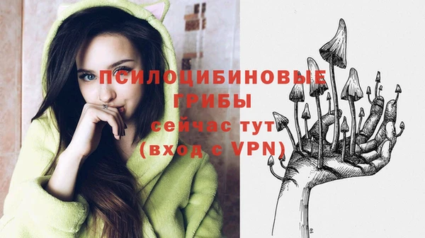 МДПВ Наволоки